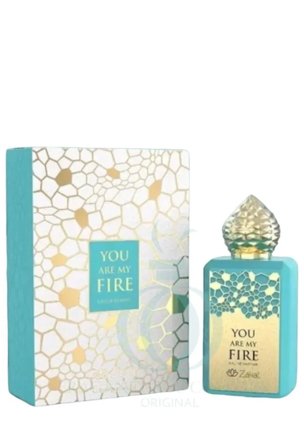 YOU ARE MY FIRE ZAKAT